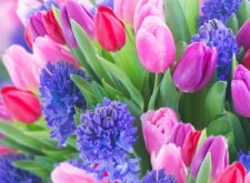 designer’s choice flowers, shop now for delivery in  Latrobe